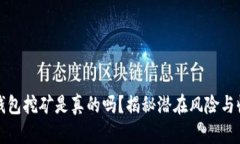 TP钱包挖矿是真的吗？揭秘潜在风险与收益