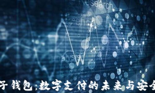 
虚拟电子钱包：数字支付的未来与安全性分析